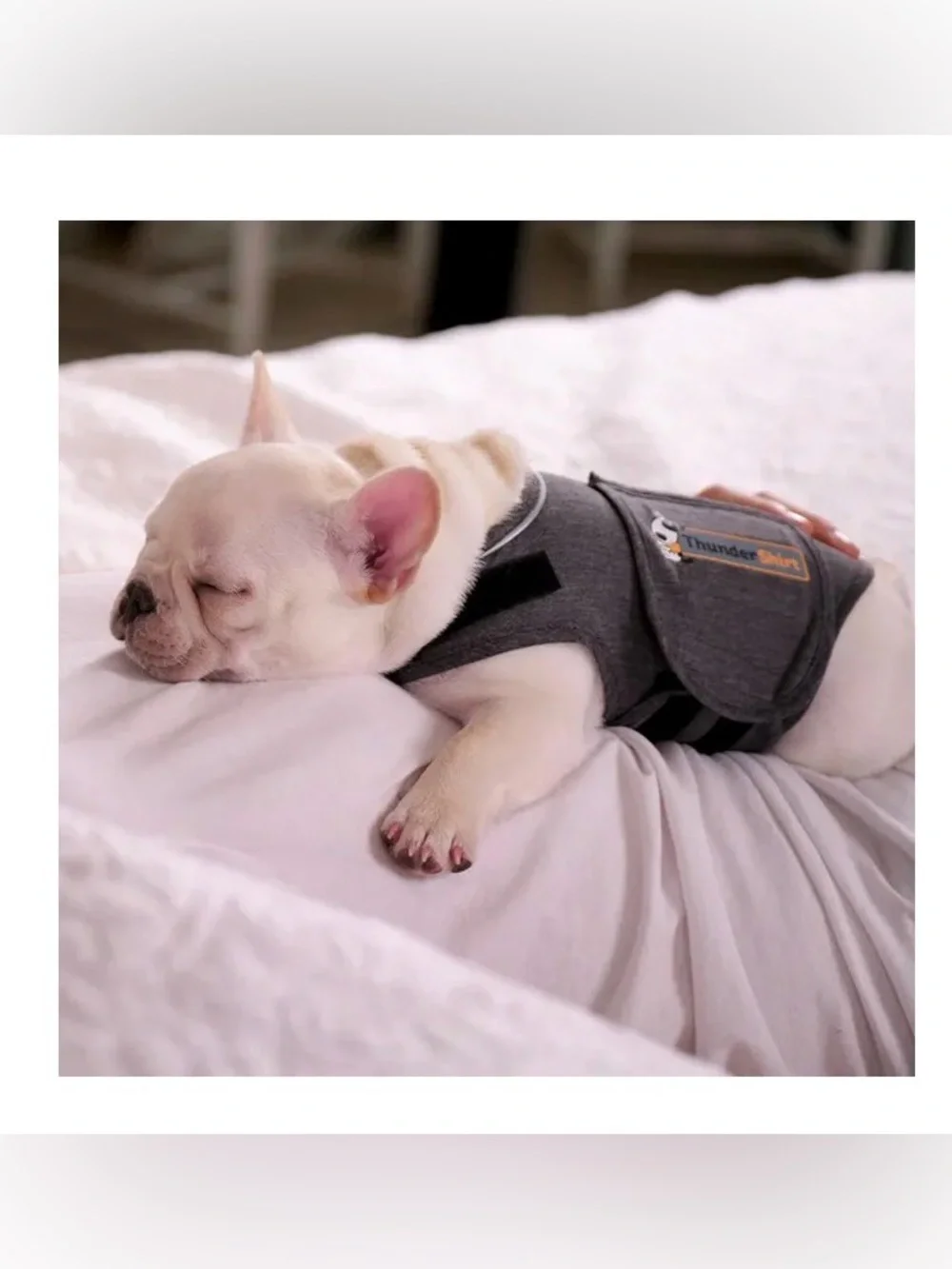 Thundershirt Gray Calming Dog Vest for Anxiety Relief